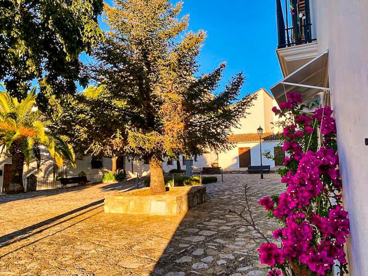 Grazalema - Casita La Calma - Increibles vistas, Climatización Frio-Calor, Wifi, Parking Vila Exterior foto